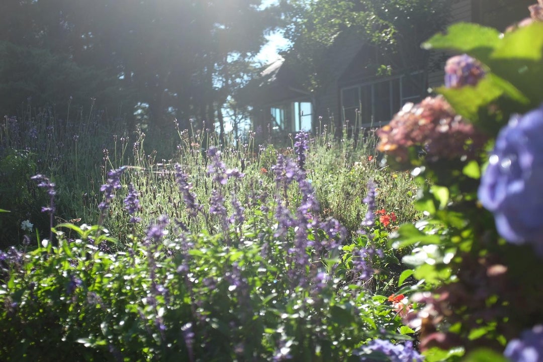 Broomfield, Colorado Homes for Sale Many Listings Under 450,000!